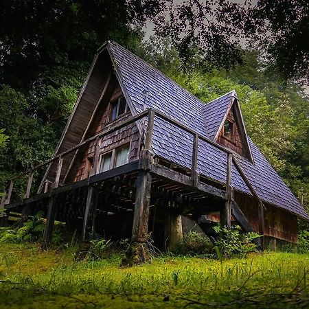 Ralun Patagonia Pension Buitenkant foto
