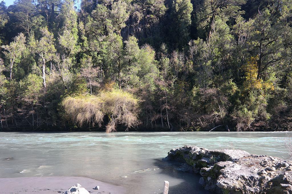 Ralun Patagonia Pension Buitenkant foto